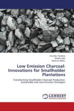 Low Emission Charcoal: Innovations for Smallholder Plantations