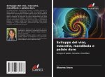 Sviluppo del viso, mascella, mandibola e palato duro