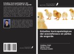 Estudios toxicopatológicos del aceclofenaco en pollos de engorde