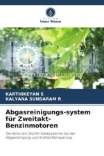 Abgasreinigungs-system für Zweitakt-Benzinmotoren