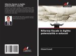 Riforma fiscale in Egitto potenzialit? e ostacoli