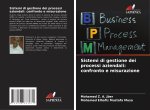 Sistemi di gestione dei processi aziendali: confronto e misurazione