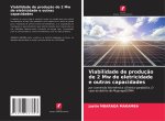 Viabilidade de produç?o de 2 Mw de eletricidade e outras capacidades