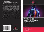 ANATOMIA DO DESENVOLVIMENTO CICLO DE VIDA
