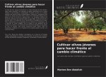 Cultivar olivos jóvenes para hacer frente al cambio climático