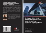 Sviluppo delle citt? mono-industriali nelle aree di confine: problemi e prospettive