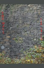 The Wall