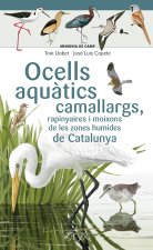 Ocells aquatics camallargs, rapinyaires