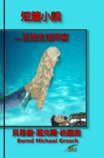 短篇小說