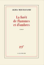 DE FLAMMES ET D'OMBRES