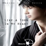 Like a Torn in my Heart