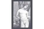 Preludia