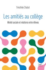 Mixité sociale au collège