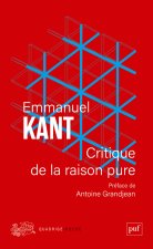 Critique de la raison pure