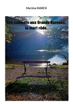 CABINETS AUX GRANDS BUREAUX MORT RODE