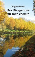 DES DIVAGATIONS SUR MON CHEMIN