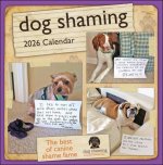 CAL 26 DOG SHAMING
