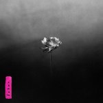 Little Simz:  Lotus