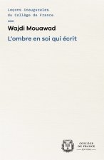 OMBRE EN SOI QUI ECRIT