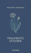 FRAGMENTS D'OLIVIER