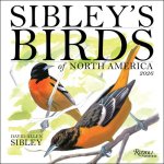 CAL 26 SIBLEYS BIRDS OF NORTH AMER