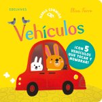 Vehiculos