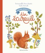 UN ECUREUIL