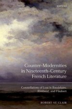 Counter-Modernities in Nineteenth-Century French Literature
