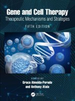 Gene and Cell Therapy