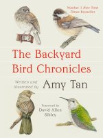 Backyard Bird Chronicles