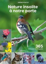 NATURE INSOLITE A NOTRE PORTE