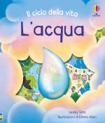 acqua. Il ciclo della vita