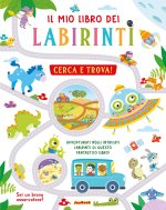 mio libro dei labirinti. Cerca e trova!