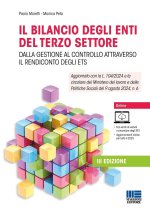 bilancio degli enti del terzo settore. Dalla gestione al controllo attraverso il rendiconto degli ETS