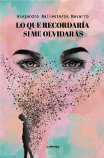 Lo Que Recordaria Si Me Olvidaras