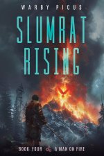 MAN ON FIRE A CYBERPUNK LITRPG