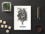 Méconium