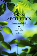 Forest Aesthetics