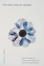 The New Lives of Images