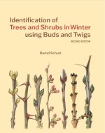 Identification of Trees & Shrubs in Winter Using Buds and Twigs