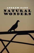 Natural Wonders