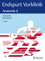Endspurt Vorklinik: Anatomie II