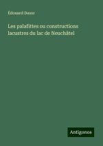 Les palafittes ou constructions lacustres du lac de Neuchâtel