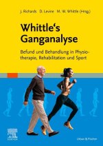 Whittle's Ganganalyse