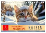 Katzen - Kalender für alle Miezenfans (Tischkalender 2026 DIN A5 quer), CALVENDO Monatskalender