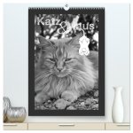 Katz & Maus (hochwertiger Premium Wandkalender 2026 DIN A2 hoch), Kunstdruck in Hochglanz