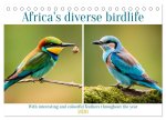 Africa's diverse birdlife (Desk Calendar 2026 DIN A5 landscape), CALVENDO 12 Month DeskCalendar