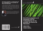 Encíclicas papales y el bienestar de los trabajadores en las granjas de flores de Naivasha