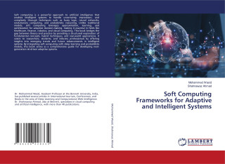 Soft Computing Frameworks for Adaptive and Intelligent Systems