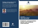 Probleme und Aussichten kleiner und mittlerer Unternehmen